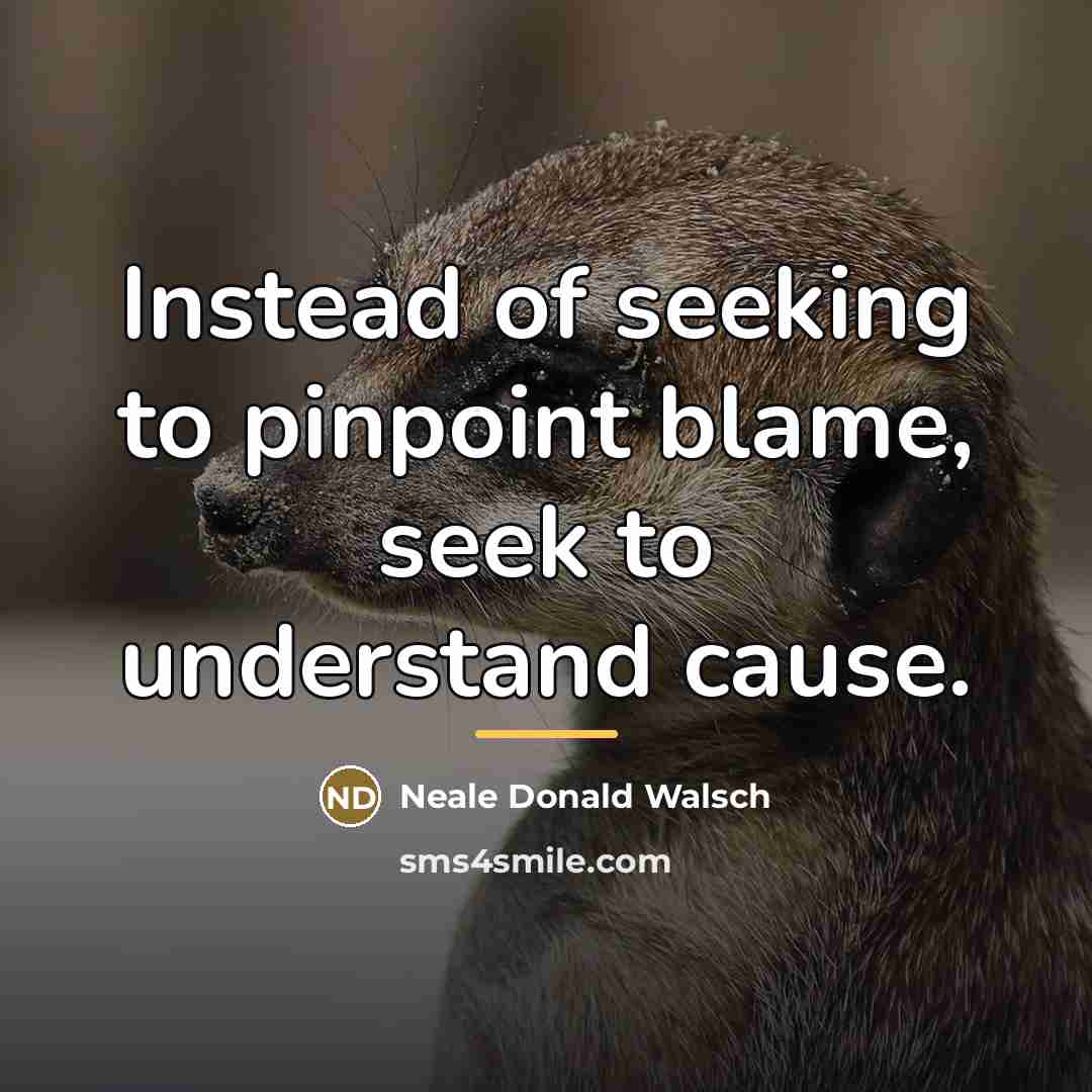“Instead of seeking to pinpoint blame, seek to understand cause.…” quote by Neale Donald Walsch