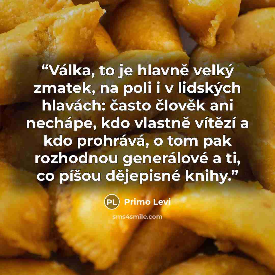 “Válka, to je hlavně velký zmatek, na poli i v lidských hlavách: často člověk ani nechápe, kdo vlastně vítězí a kdo prohrává, o tom pak rozhodnou generálové a ti, co píšou dějepisné knihy.” quote by Primo Levi