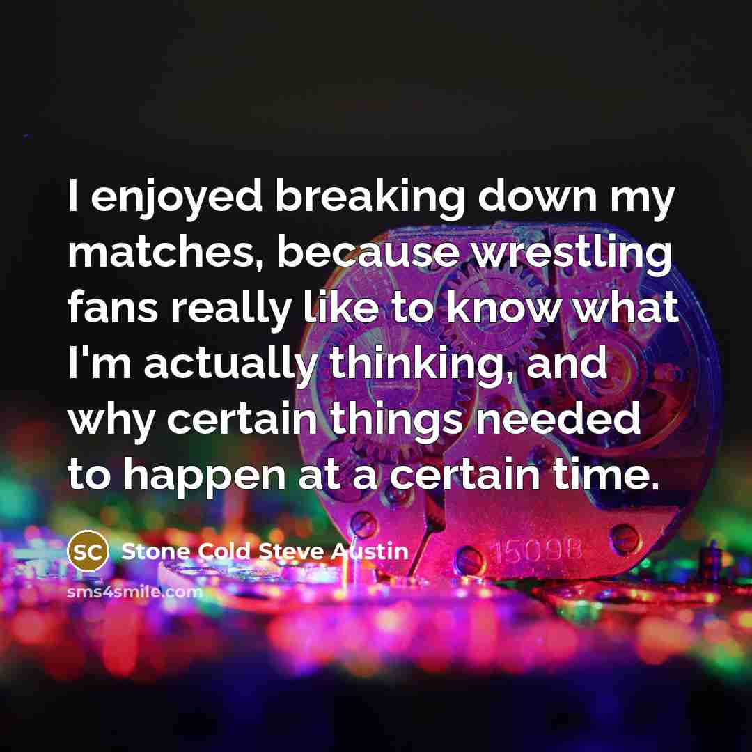 “I enjoyed breaking down my matches, because wrestling fans really…” quote by Stone Cold Steve Austin