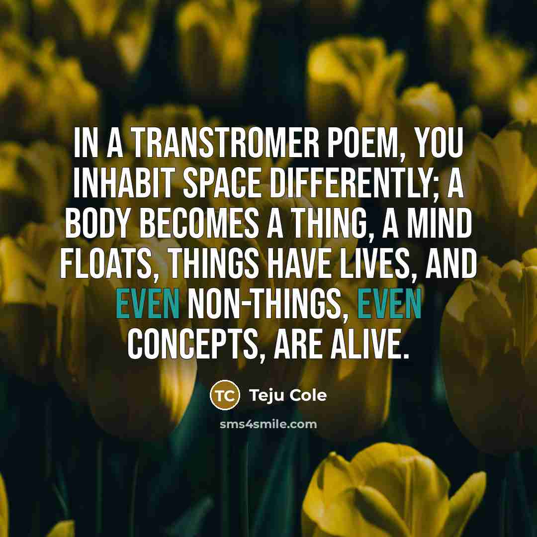 “In a Transtromer poem, you inhabit space differently; a body…” quote by Teju Cole