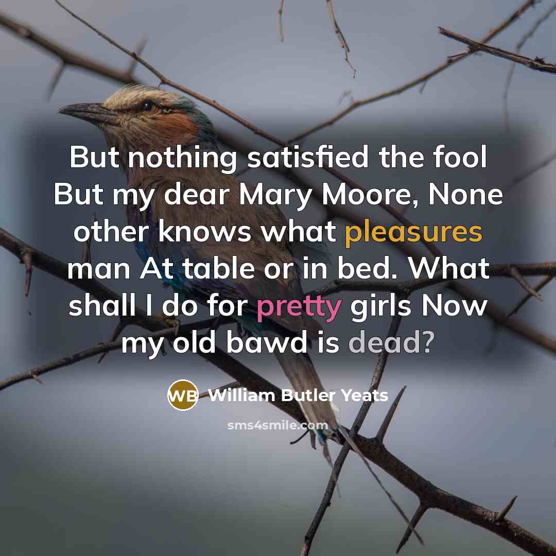 “But nothing satisfied the fool But my dear Mary Moore,…” quote by William Butler Yeats