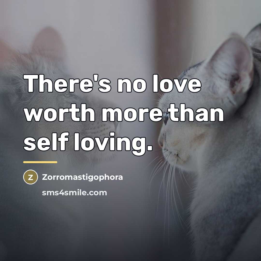 “There's no love worth more than self loving.…” quote by Zorromastigophora