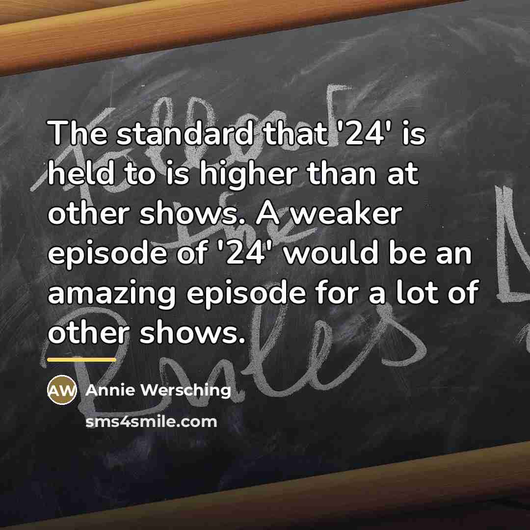 “The standard that '24' is held to is higher than…” quote by Annie Wersching