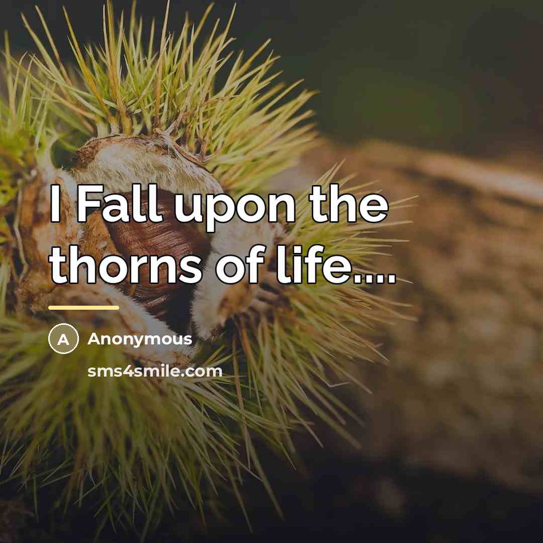 “I Fall upon the thorns of life....…” quote by Anonymous