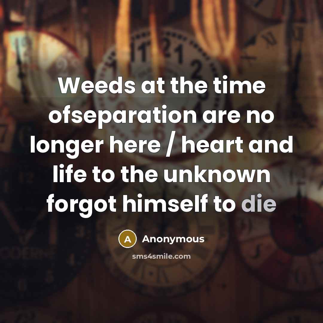 “Weeds at the time ofseparation are no longer here /…” quote by Anonymous