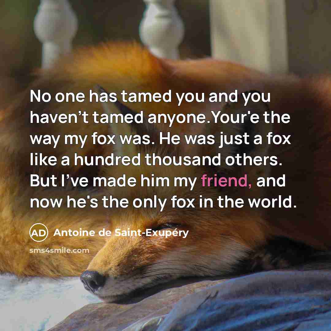 “No one has tamed you and you haven't tamed anyone.Your'e…” quote by Antoine de Saint-Exupery