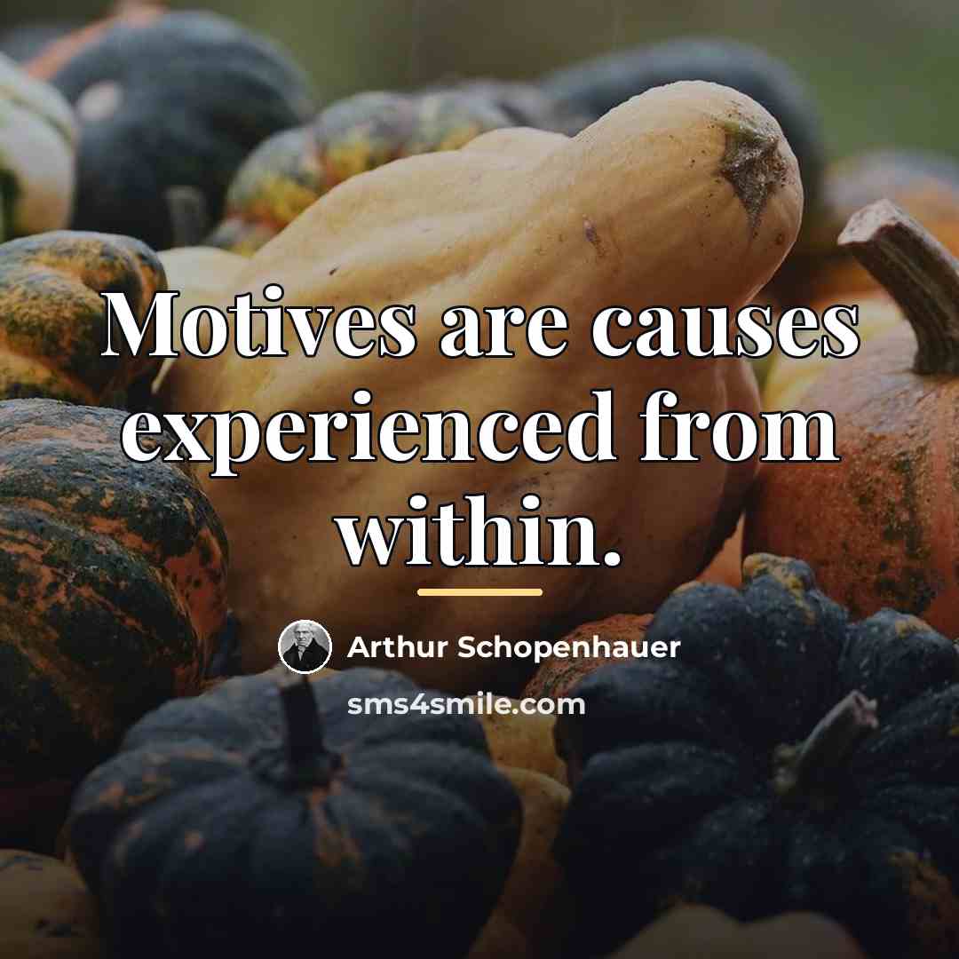 “Motives are causes experienced from within.…” quote by Arthur Schopenhauer
