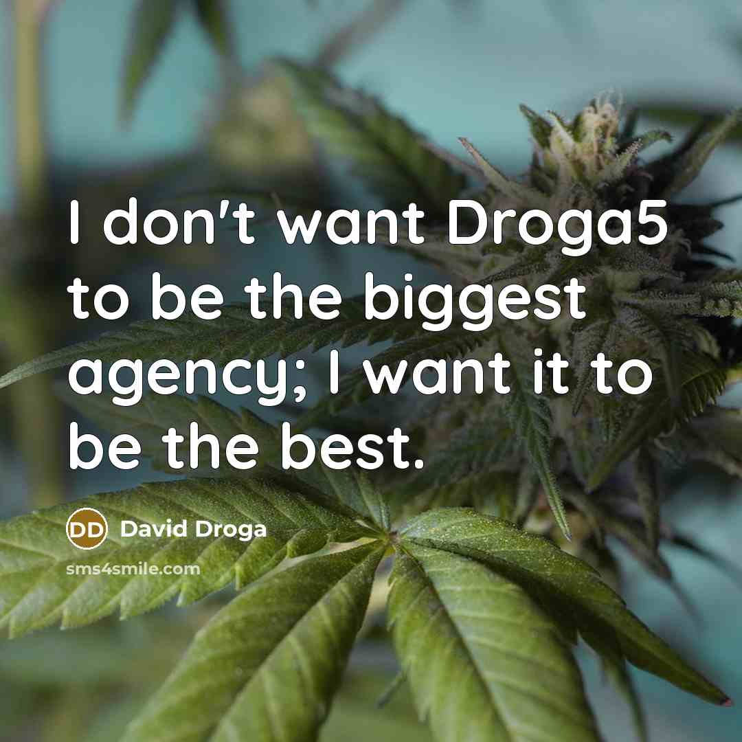 “I don't want Droga5 to be the biggest agency; I…” quote by David Droga