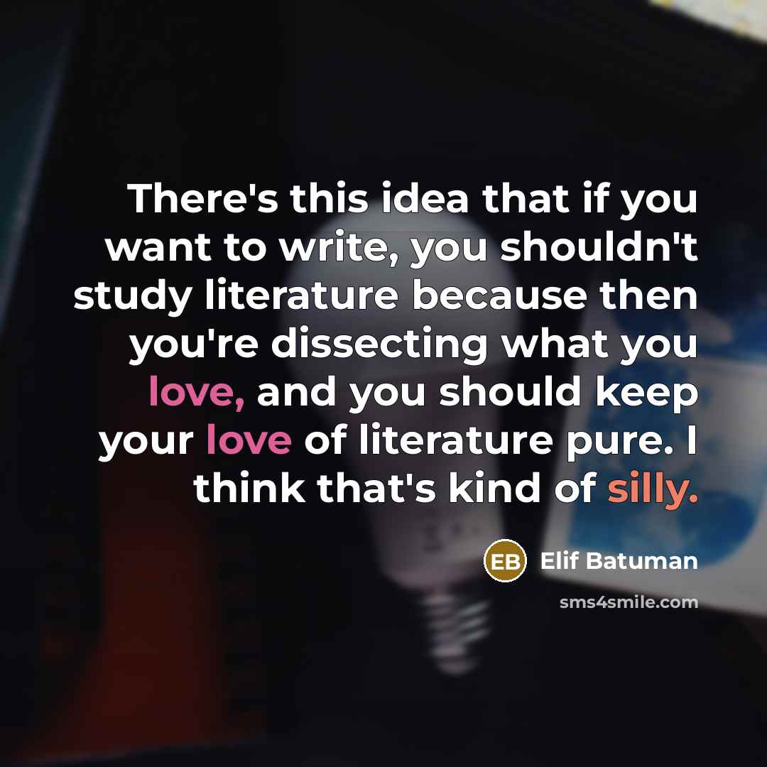 “There's this idea that if you want to write, you…” quote by Elif Batuman