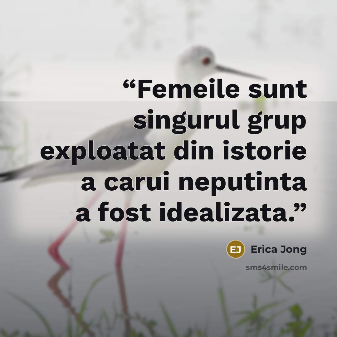 “Femeile sunt singurul grup exploatat din istorie a carui neputinta a fost idealizata.” quote by Erica Jong