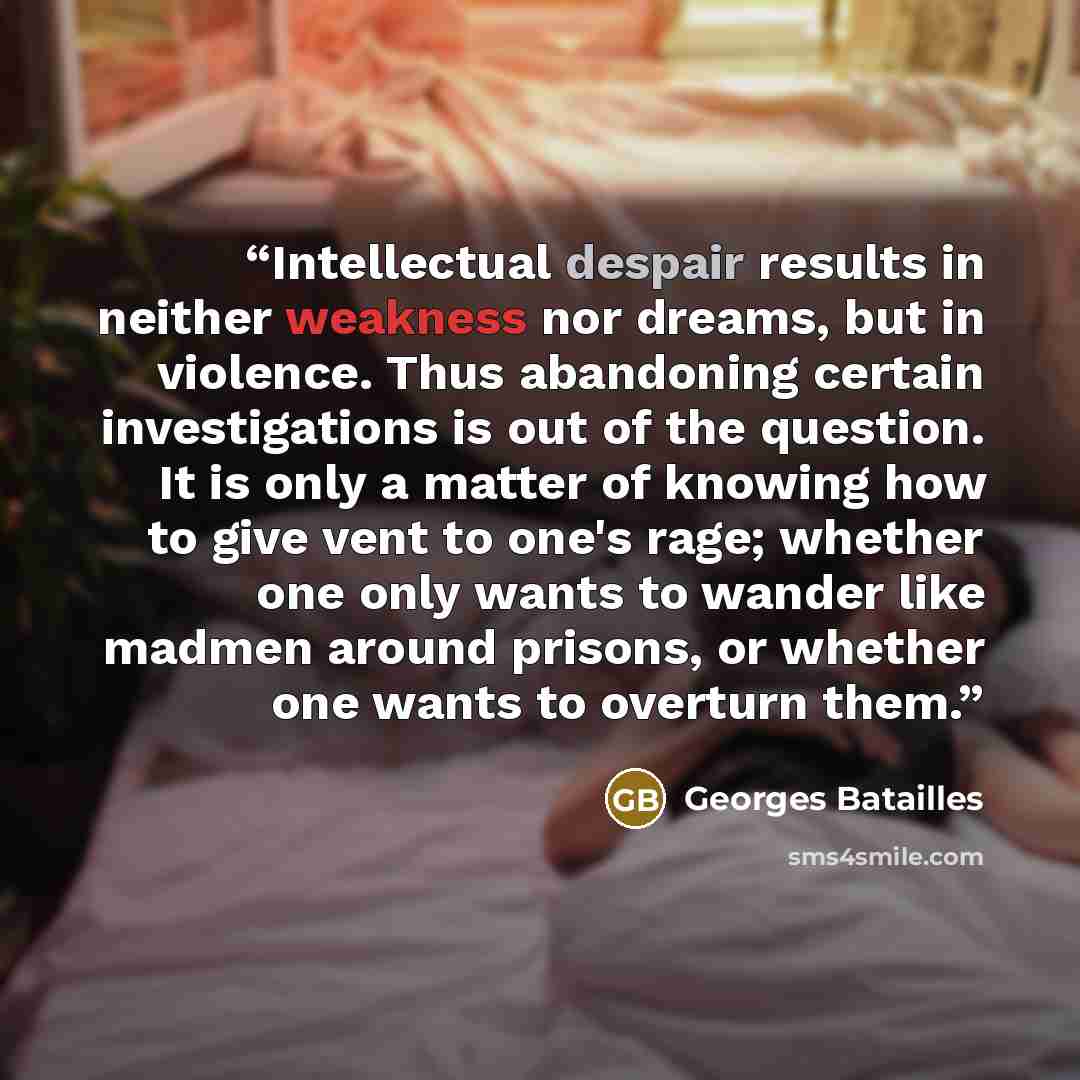 “Intellectual despair results in neither weakness nor dreams, but in violence. Thus abandoning certain investigations is out of the question. It is only a matter of knowing how to give vent to one's rage; whether one only wants to wander like madmen around prisons, or whether one wants to overturn…” quote by Georges Batailles