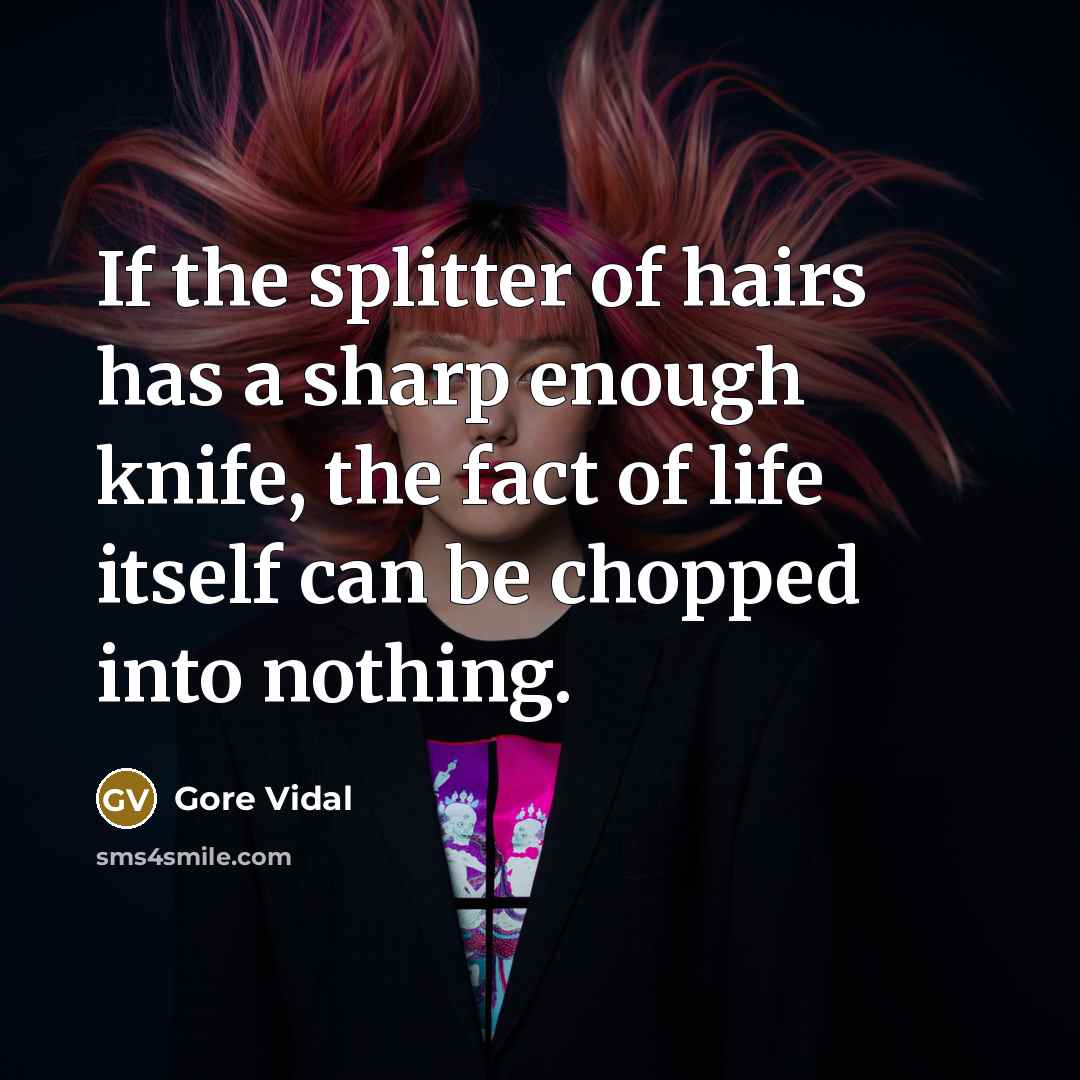 “If the splitter of hairs has a sharp enough knife,…” quote by Gore Vidal