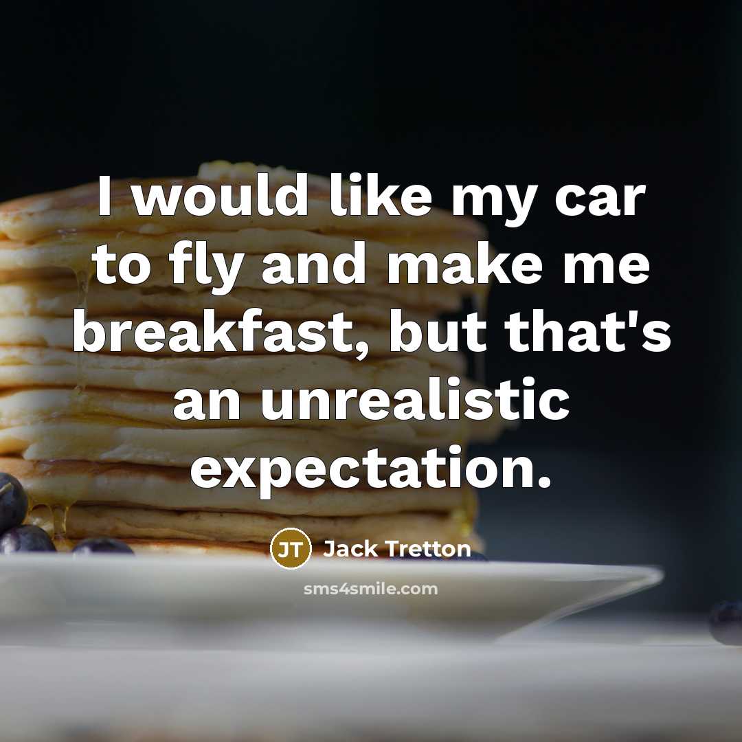 “I would like my car to fly and make me…” quote by Jack Tretton