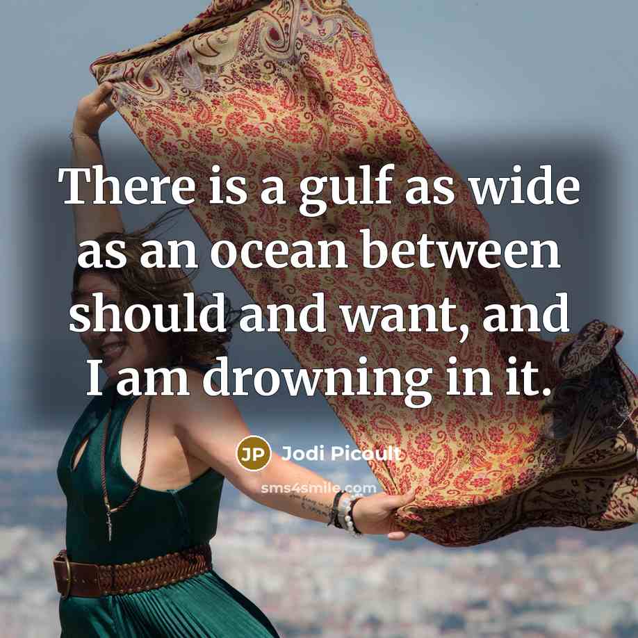 “There is a gulf as wide as an ocean between…” quote by Jodi Picoult