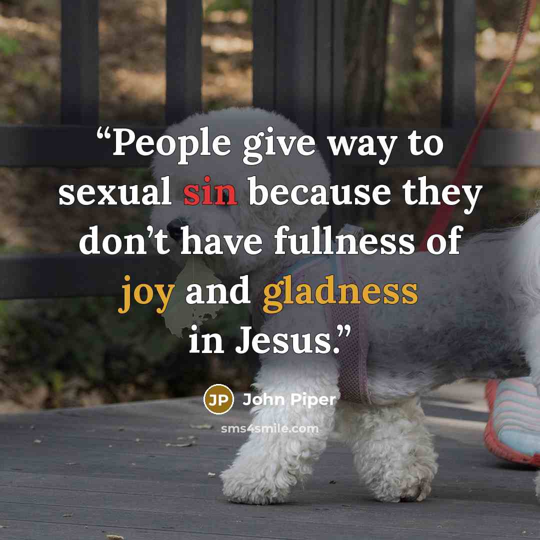 “People give way to sexual sin because they don’t have fullness of joy and gladness in Jesus.” quote by John Piper