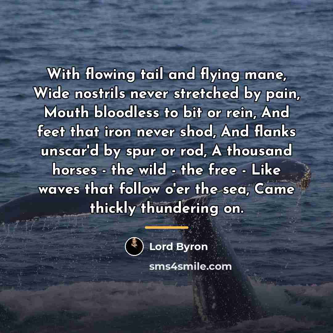 “With flowing tail and flying mane, Wide nostrils never stretched…” quote by Lord Byron