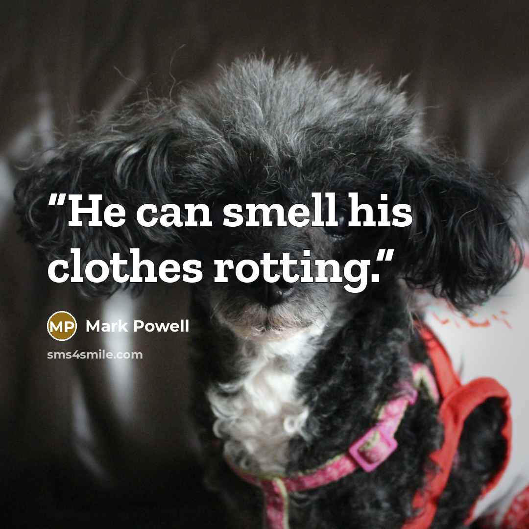 “He can smell his clothes rotting.” quote by Mark Powell