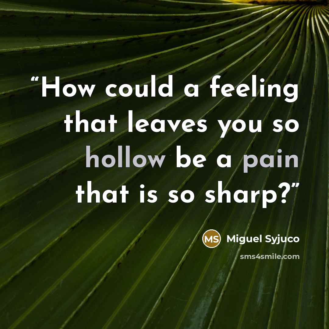 “How could a feeling that leaves you so hollow be a pain that is so sharp?” quote by Miguel Syjuco