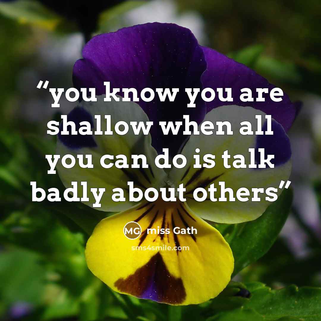 “you know you are shallow when all you can do is talk badly about others” quote by miss Gath