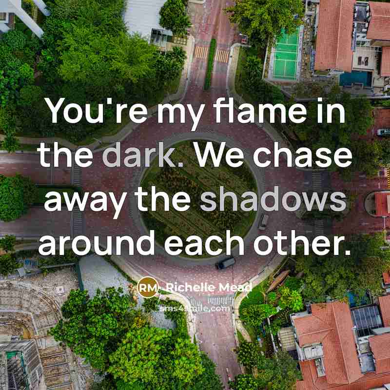 “You're my flame in the dark. We chase away the…” quote by Richelle Mead