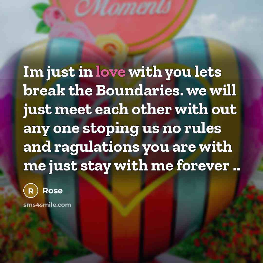 “Im just in love with you lets break the Boundaries. we will just meet each other with out any one stoping us no rules and ragulations you are with me just stay with me forever ..” quote by Rose