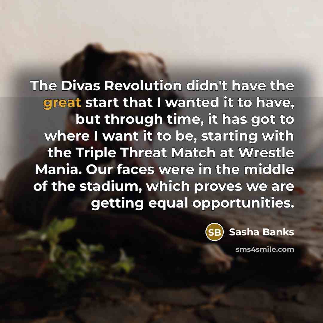 “The Divas Revolution didn't have the great start that I…” quote by Sasha Banks