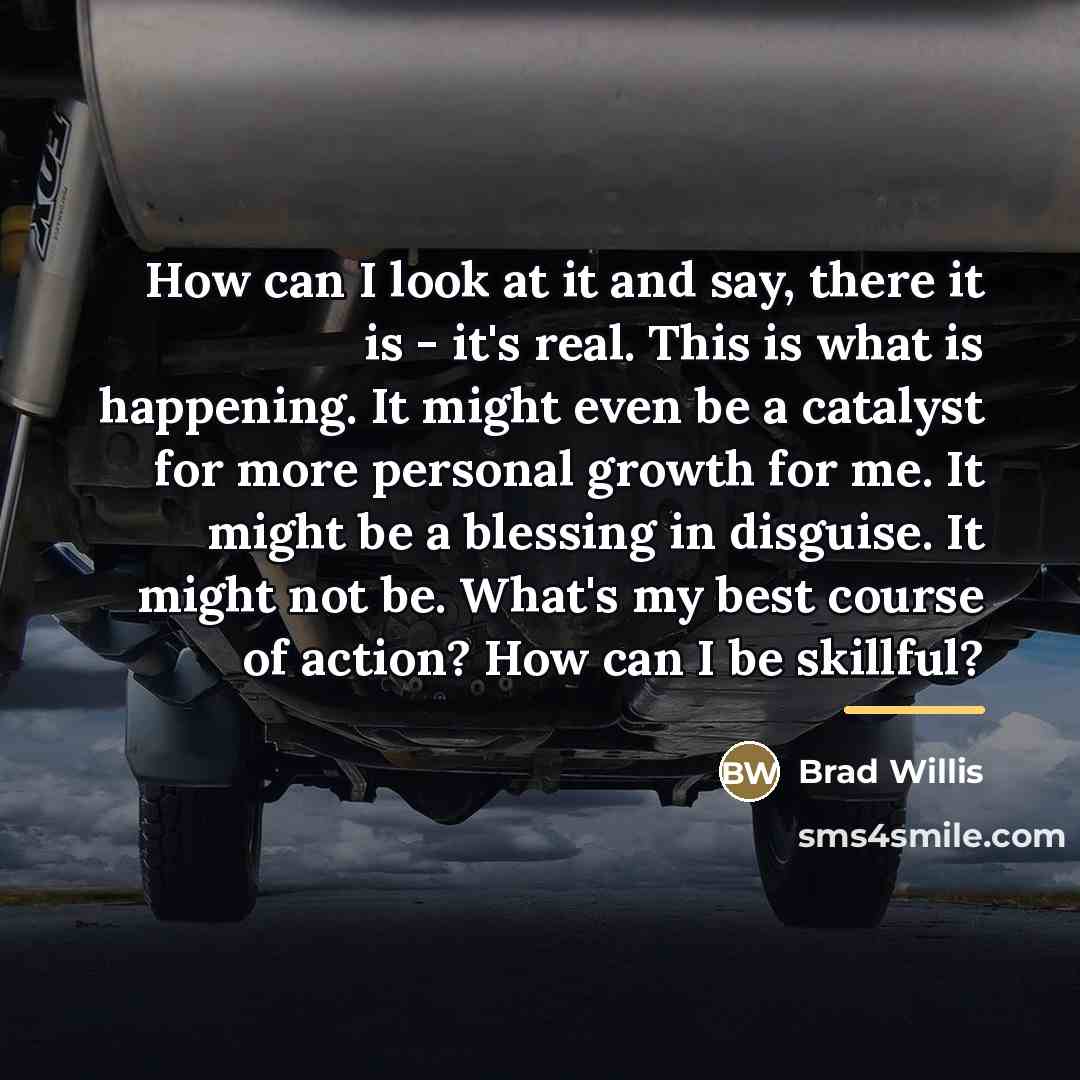 “How can I look at it and say, there it…” quote by Brad Willis