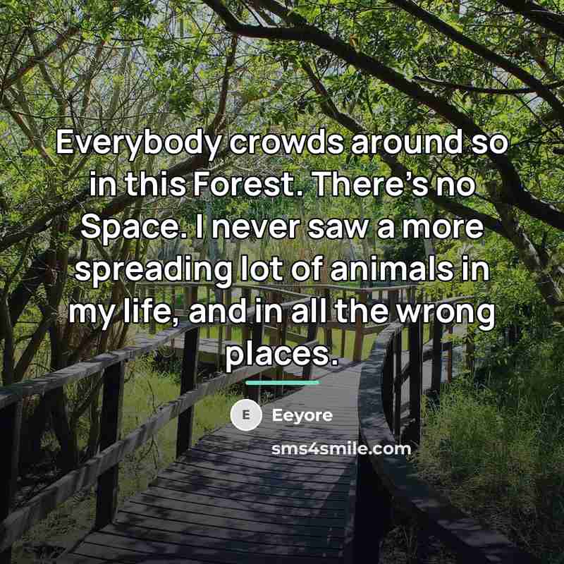 “Everybody crowds around so in this Forest. There's no Space.…” quote by Eeyore
