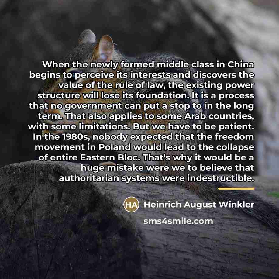 “When the newly formed middle class in China begins to…” quote by Heinrich August Winkler