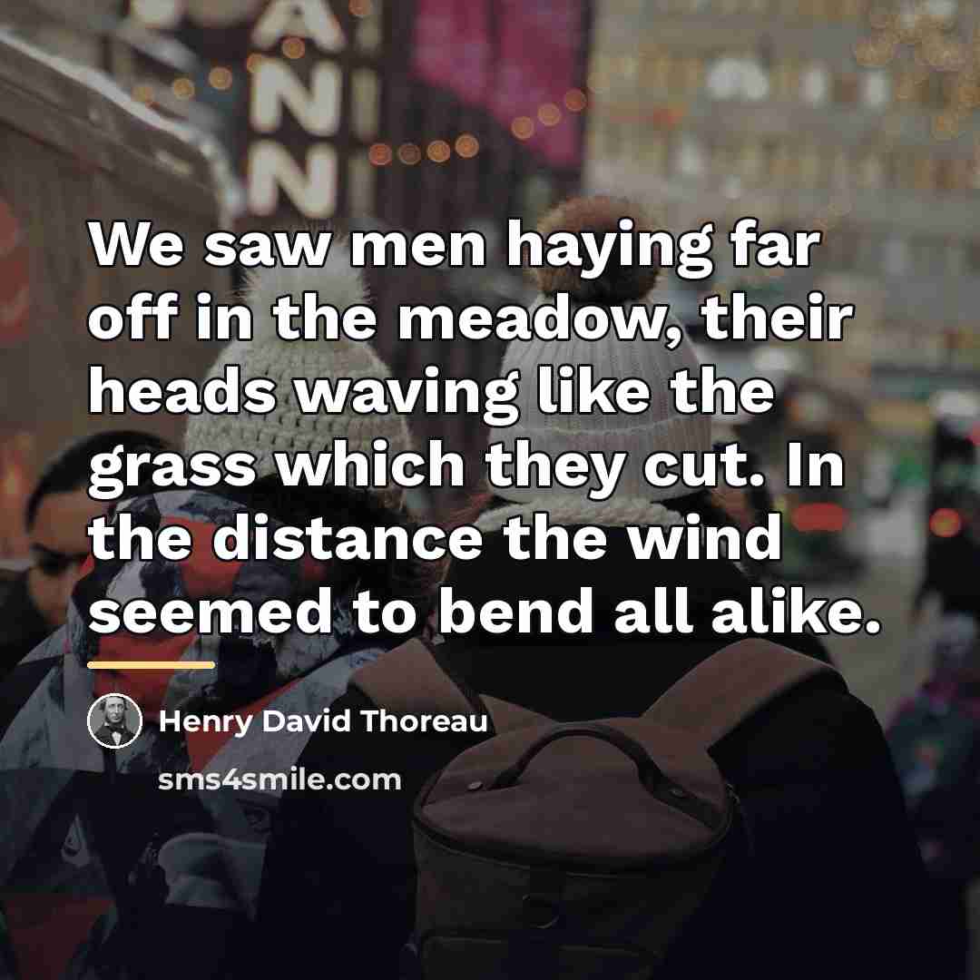 “We saw men haying far off in the meadow, their…” quote by Henry David Thoreau
