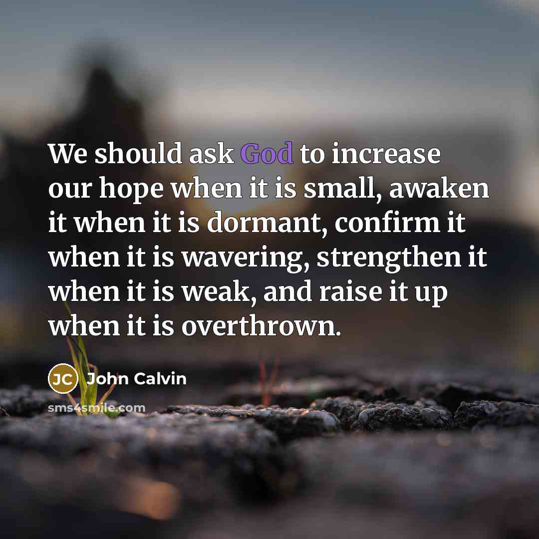 “We should ask God to increase our hope when it…” quote by John Calvin