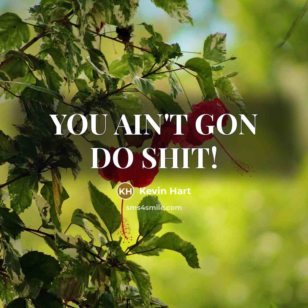 “YOU AIN'T GON DO SHIT!…” quote by Kevin Hart