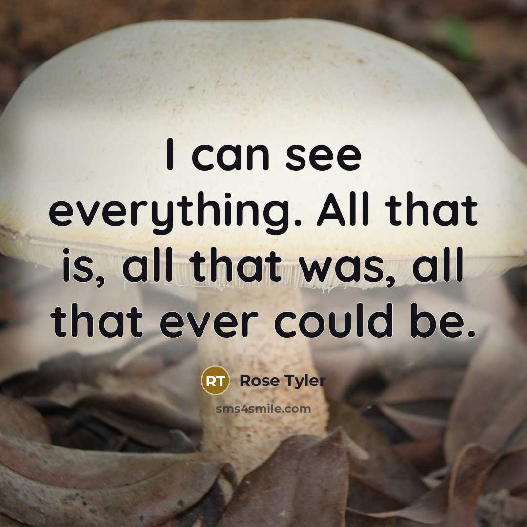 “I can see everything. All that is, all that was,…” quote by Rose Tyler