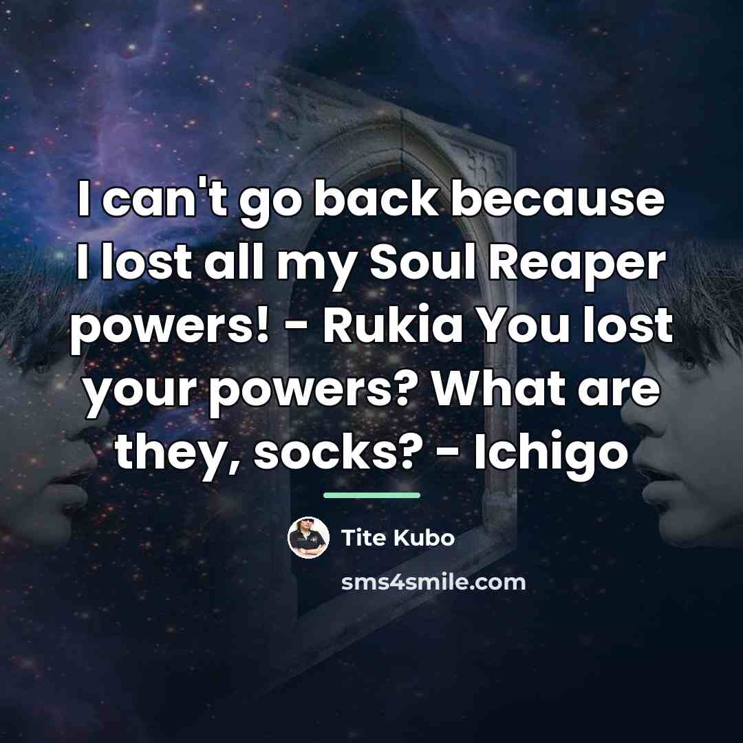 “I can't go back because I lost all my Soul…” quote by Tite Kubo