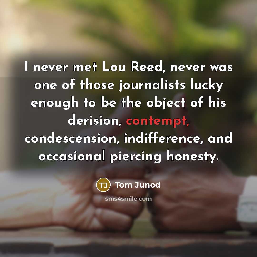 “I never met Lou Reed, never was one of those…” quote by Tom Junod