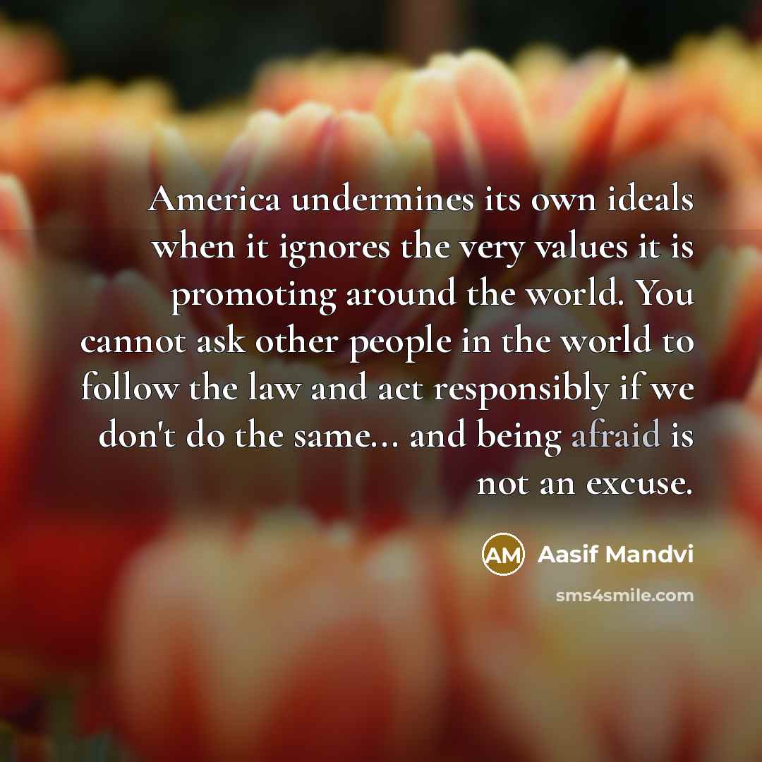 “America undermines its own ideals when it ignores the very…” quote by Aasif Mandvi