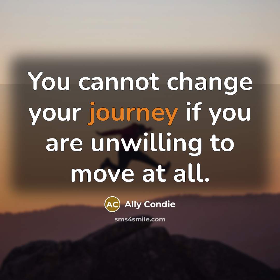“You cannot change your journey if you are unwilling to…” quote by Ally Condie