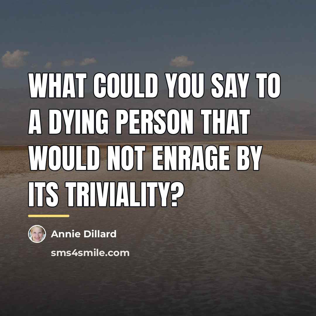 “What could you say to a dying person that would…” quote by Annie Dillard