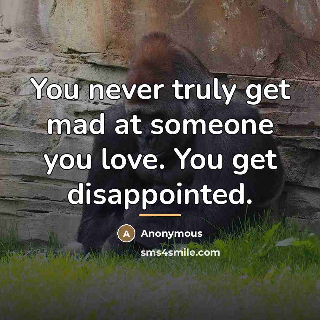 “You never truly get mad at someone you love. You…” quote by Anonymous