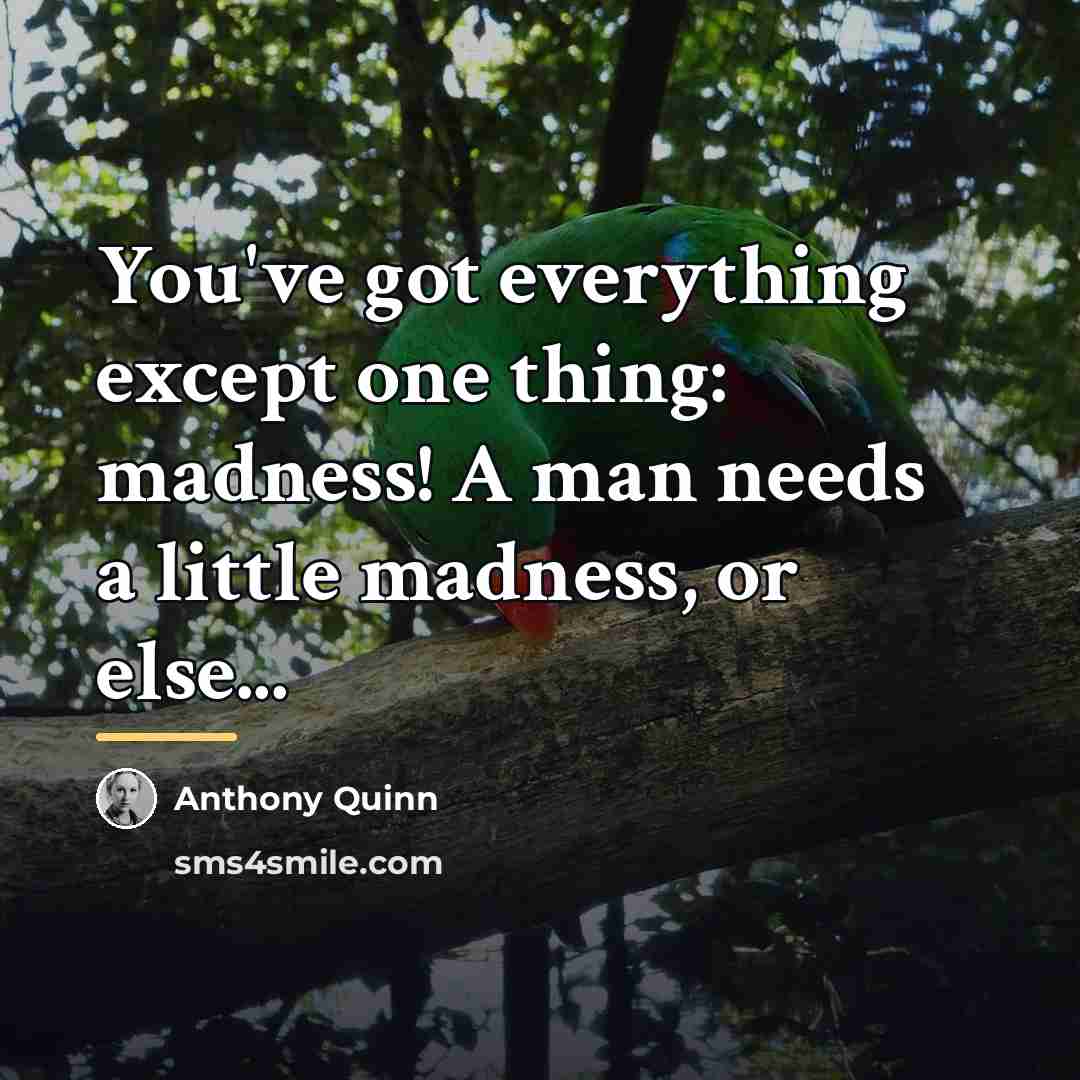 “You've got everything except one thing: madness! A man needs…” quote by Anthony Quinn
