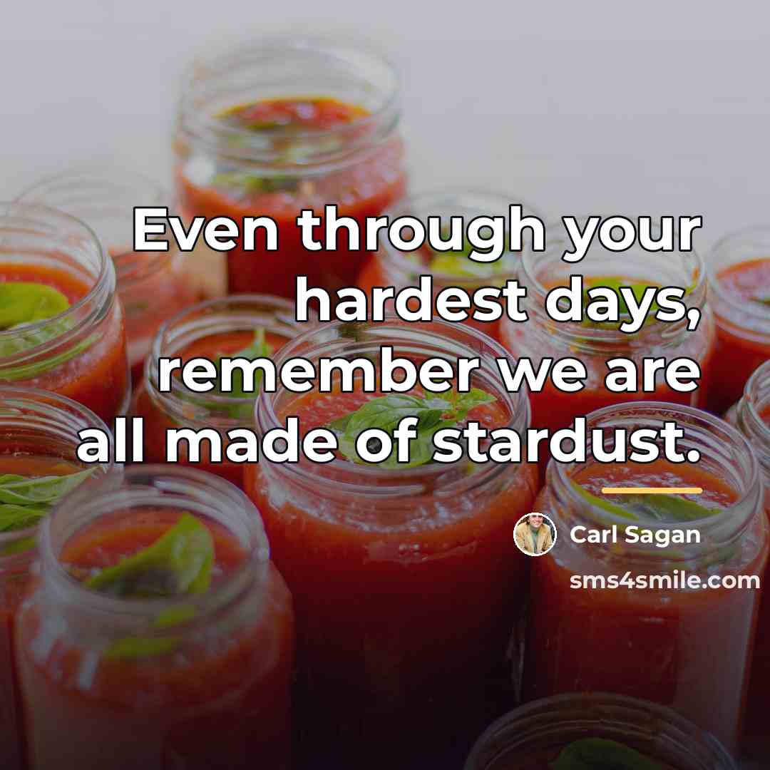 “Even through your hardest days, remember we are all made…” quote by Carl Sagan