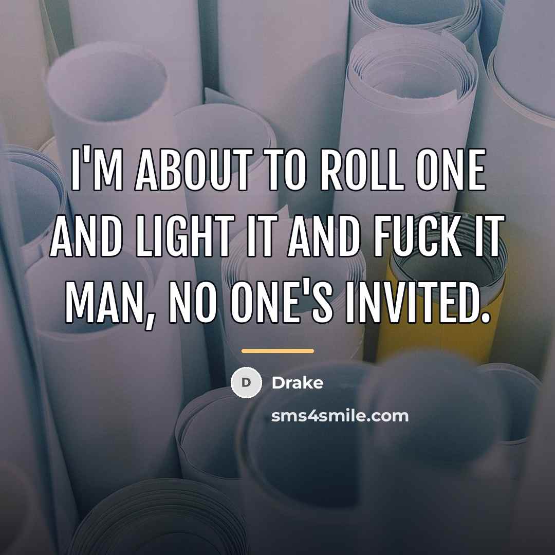 “I'm about to roll one and light it and fuck…” quote by Drake