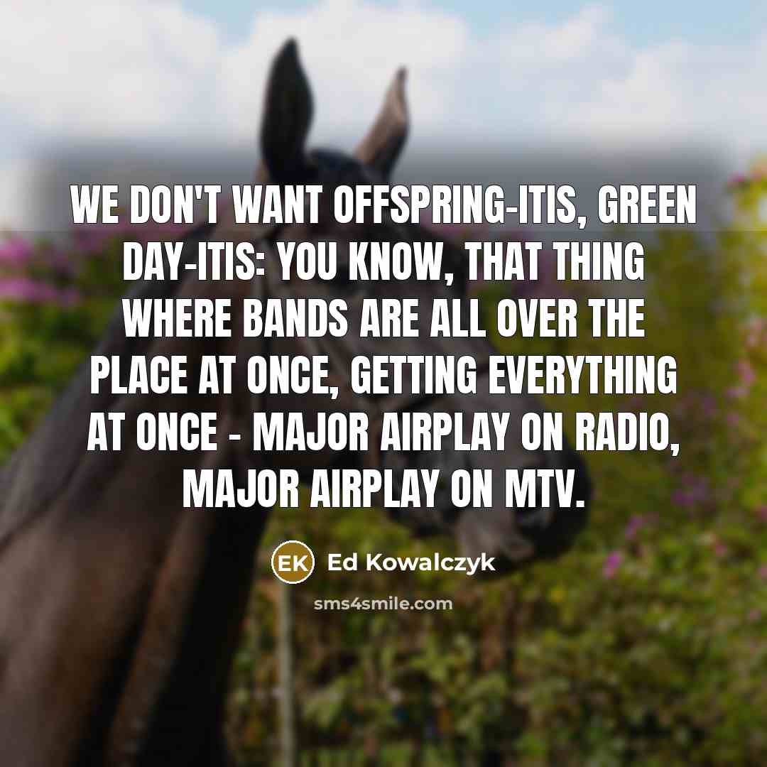 “We don't want Offspring-itis, Green Day-itis: you know, that thing…” quote by Ed Kowalczyk