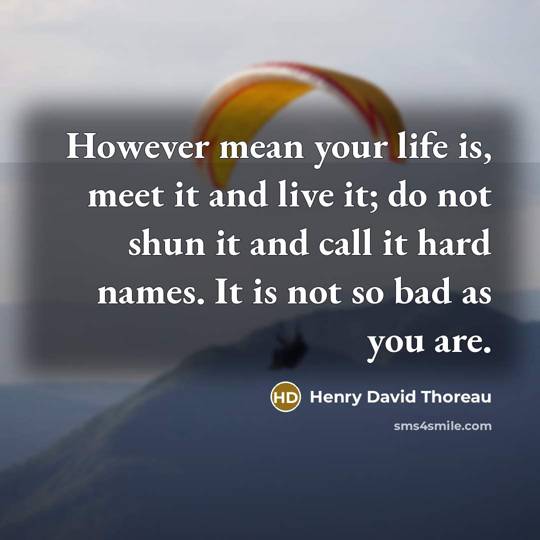 “However mean your life is, meet it and live it;…” quote by Henry David Thoreau