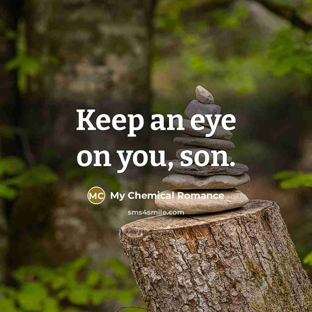 “Keep an eye on you, son.…” quote by My Chemical Romance