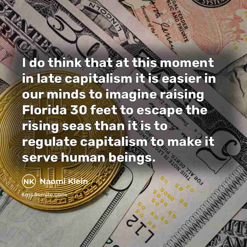 “I do think that at this moment in late capitalism…” quote by Naomi Klein