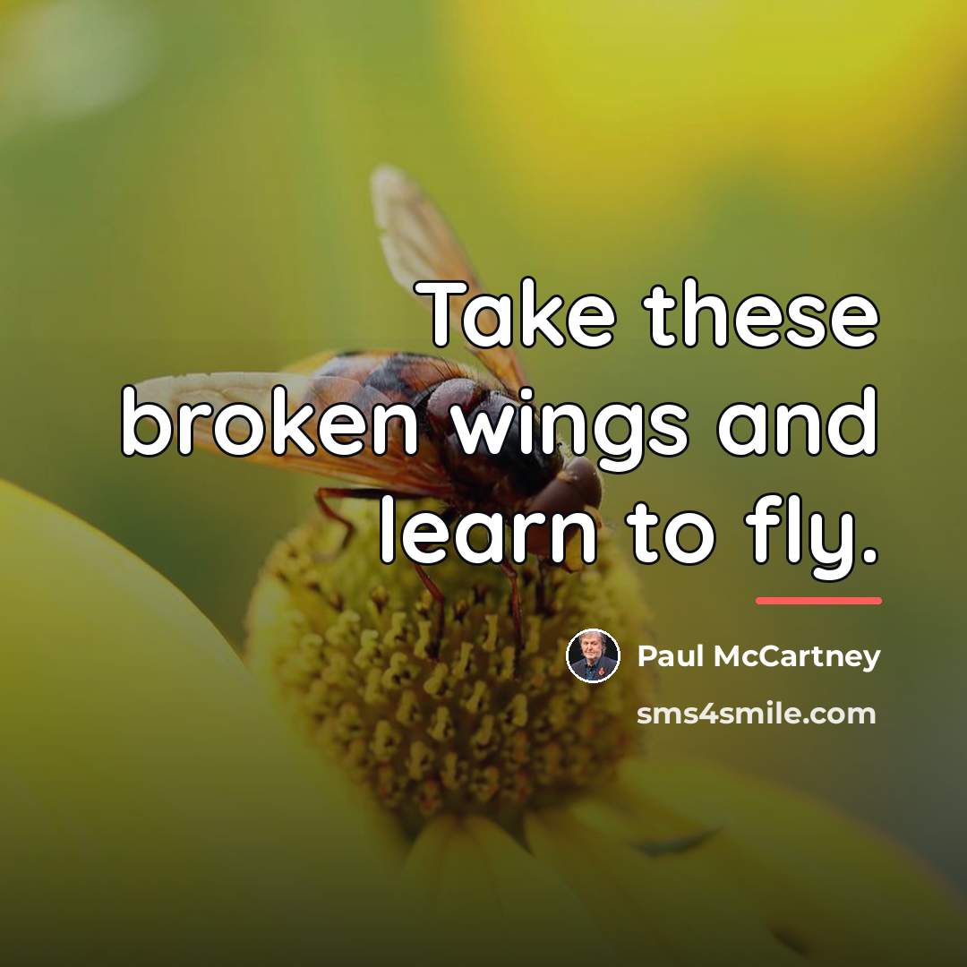 “Take these broken wings and learn to fly.…” quote by Paul McCartney