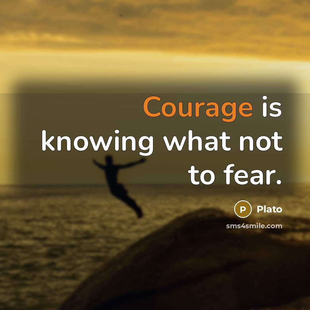 “Courage is knowing what not to fear.…” quote by Plato