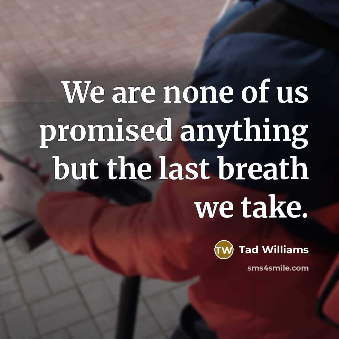“We are none of us promised anything but the last…” quote by Tad Williams