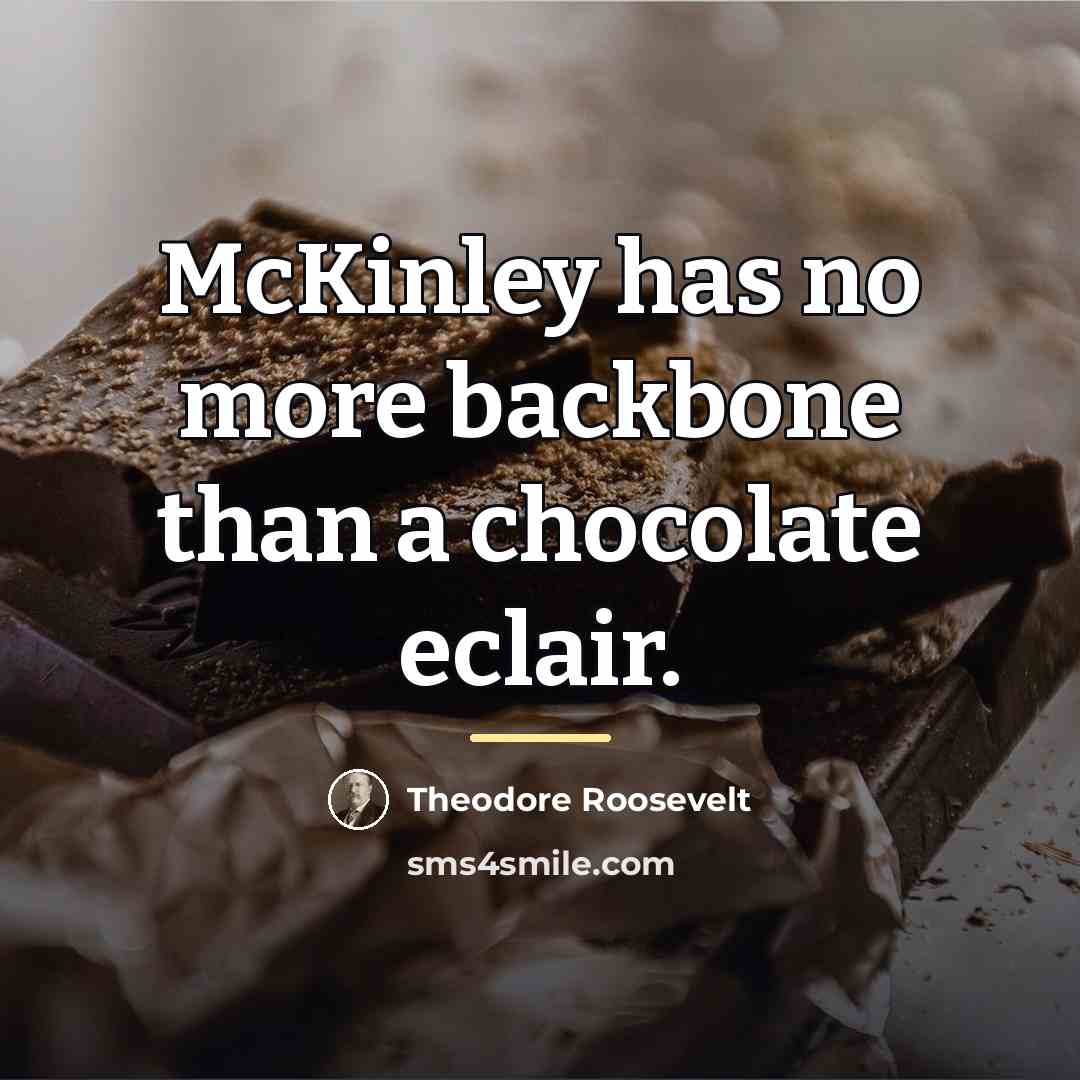 “McKinley has no more backbone than a chocolate eclair.…” quote by Theodore Roosevelt